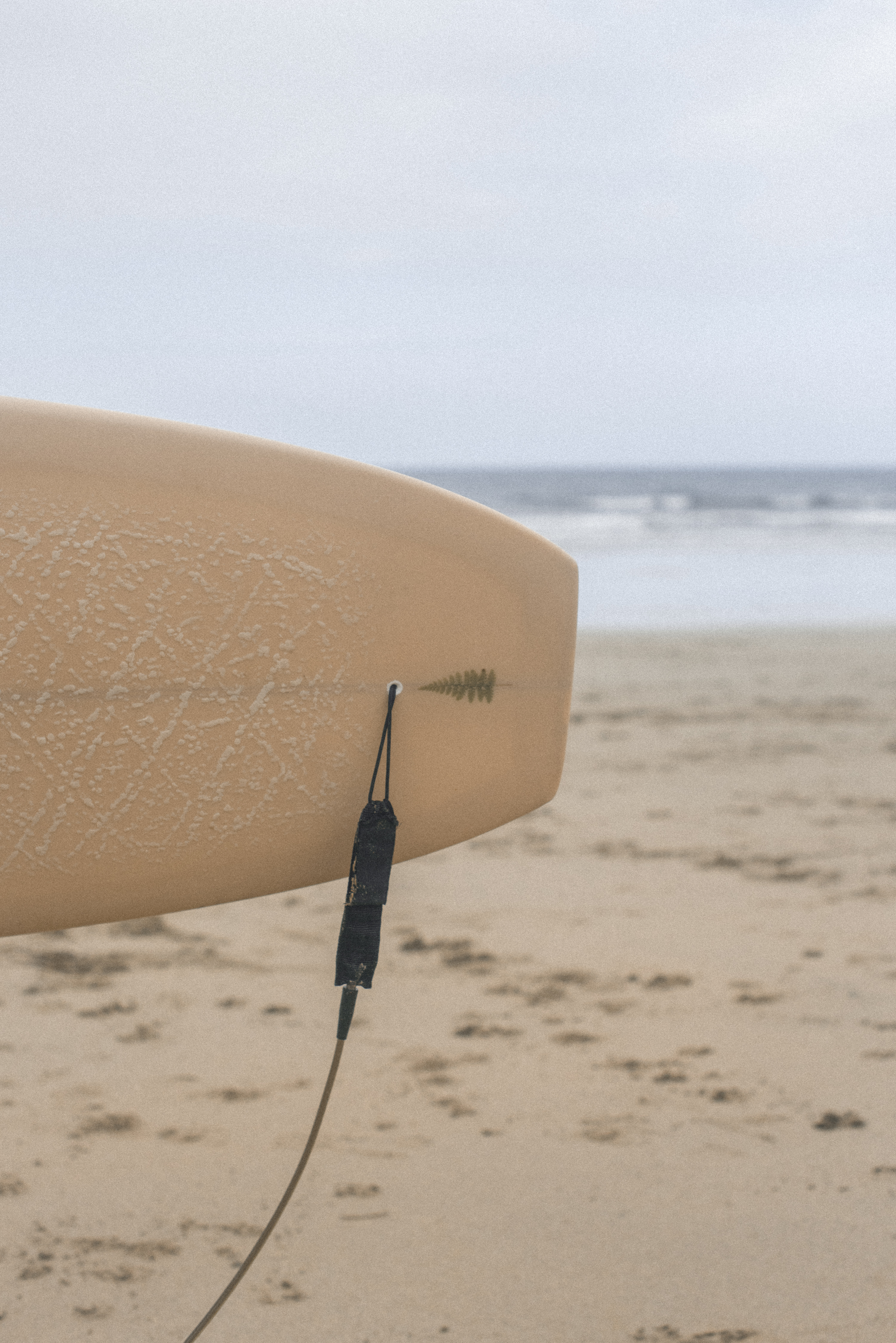 Finished Plant Lady surfboard artwork